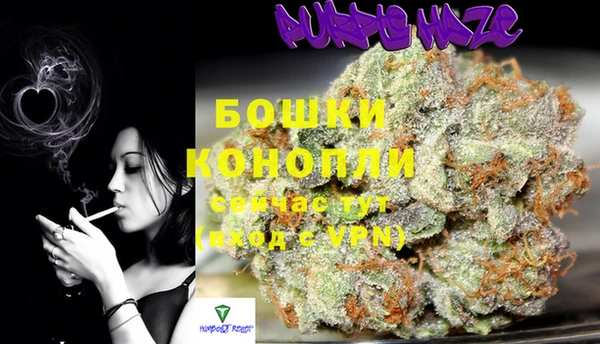 эйфоретик Богородск