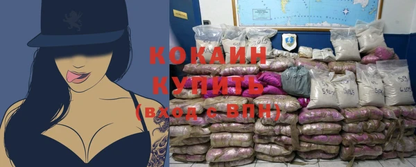 дживик Переславль-Залесский